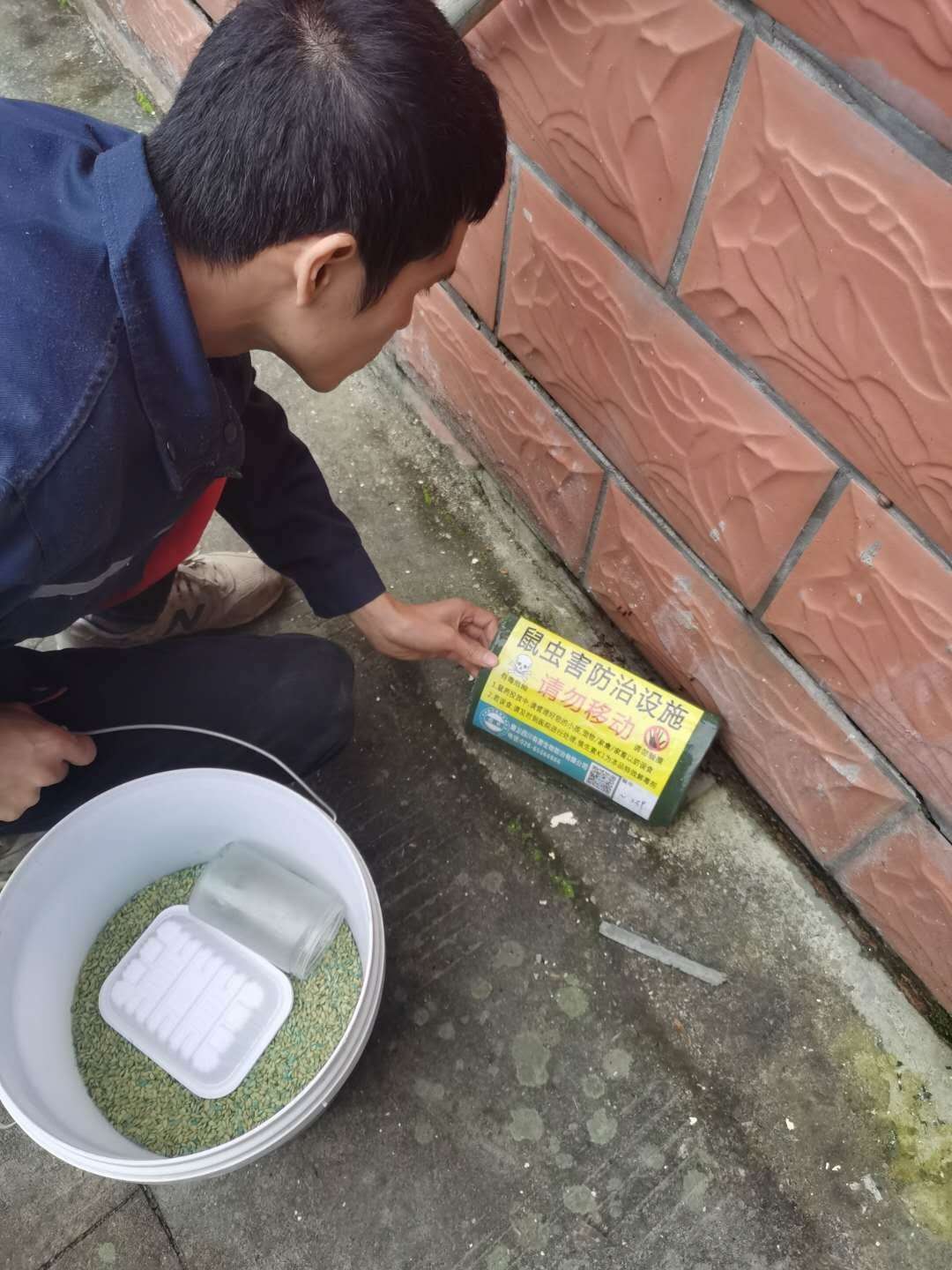 自贡除四害